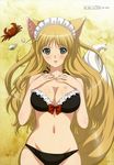  animal_ears bikini cleavage kitsune rouna shining_hearts shining_world swimsuits tail yahiro_yuuko 