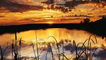  bad_pixiv_id cloud granada landscape no_humans original plant scenery silhouette sky sun sunset water 