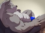  abs biceps bulge canine male muscles pecs reclining solo speedo taoren thong underwear wolf 
