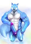  anthro balls biceps big_muscles big_penis black_nose blue_fur bulge canine claws erection fangs fur hand_on_hip huge_penis iceman1984 male mammal multi-colored_body muscles nipples nude pecs penis pose shiny solo speedo standing swimsuit thick_penis topless unknown_artist water wet white_fur wolf yellow_eyes 