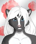  black_fur blue_eyes female flower fur hair invalid_tag looking_at_viewer mammal mother nijisukanku parent pattern_background rose simple_background skunk smile solo twillight white_fur white_hair 