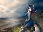  abluedeer anthro barefoot blue_dress blue_eyes blue_hair breasts calico_cat canine cat cloud dress feline female fox grass hair kneeling looking_at_viewer mammal open_mouth outside sand sea shore solo two_tone_hair water 