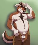  anthro assless_chaps balls belly biceps big_muscles black_nose brown_fur bucker canine chaps chubby clothed clothing cowboy cowboy_hat flaccid fox fur furrybob green_background half-dressed hat looking_at_viewer male mammal multicolor_fur muscles navel nipples orange_eyes pants_pull pecs penis plain_background pose sheath smile solo standing toned topless two_tone_fur white_fur 