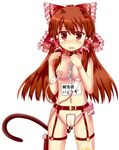  1girl anal_beads bdsm blush bondage bound breasts brown_hair butt_plug buttplug buttplug_tail catheter collar female hakurei_reimu highres kimamani lactation leash long_hair looking_at_viewer maebari milking_machine nipples open_mouth pee_bag peeing red_eyes red_hair simple_background slave solo standing tail tears touhou translated urine_bag vibrator white_background 
