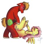  anal_penetration animal_genitalia big_macintosh_(mlp) biting_lip blush ct cutie_mark equine eyes_closed female feral fluttershy_(mlp) friendship_is_magic hooves horse horsecock male mammal my_little_pony pegasus penetration penis pony sex straight sweat wings 