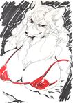  big_breasts bikini breasts canine clothed clothing dog female fur hair jyoka long_hair looking_at_viewer mammal nipples pinup pose red_eyes skimpy solo swimsuit white_fur white_hair 
