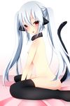  1girl animal_ears bloodcatblack blush breasts collar gray_hair grey_hair highres long_hair looking_at_viewer naked_thighhighs nipples nude original red_eyes sitting solo tail thighhighs twintails wariza 