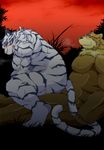  anal_penetration anthro bear biceps big_muscles blush body_markings crouching feline fur gay grizzly_bear interspecies male mammal markings muscles nude on_top pecs penetration pose red_eyes reverse_cowgirl_position sex sitting stripes sweat tiger tsukyi unknown_artist white_tiger 