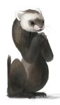  ambiguous_gender cute feral ferret fur grey_fur mammal mustelid plain_background silverfox5213 solo white_background 