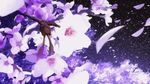  animated animated_gif cherry_blossoms hourou_musuko lowres no_humans sakura_blossoms 