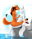  akkusky anthro breast_fondling breasts canine claws digitigrade duo eye_contact female fondling fox fur hindpaw lesbian mammal nude on_top orange_fur paws sitting straddling toes water white_fur 