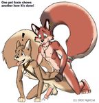  2002 athletic balls big_tail brown_eyes brown_fur canine collar cum duo ear_piercing english_text fox fur gay green_eyes invalid_tag leash male mammal necklace nightcat nipples nude penis piercing plain_background red_fur sex tag tail_ring text tongue 