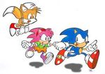  anthro blue blue_body blue_hair canine female fox fox_tail hair hedgehog low_res male mammal miles_prower multiple_tails pink_hair plain_background sega sonic_(series) sonic_the_hedgehog tails white_background 