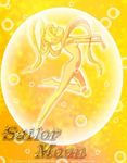  anna_misak bishoujo_senshi_sailor_moon blonde_hair blue_eyes lowres sailor_moon tsukino_usagi twintails 