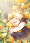  1boy blonde_hair blue_dress blurry child commentary_request depth_of_field dress facial_mark food from_above fruit furrowed_brow gash_bell haru_(skytrip) highres konjiki_no_gash!! male_focus open_mouth smile solo sparkle yellow_eyes 