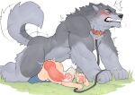 anal anal_penetration anthro canid canine disiwjd duo fur genitals hi_res human knot leash male male/male mammal muscular muscular_anthro muscular_male penetration penis size_difference tail vein veiny_knot veiny_muscles veiny_penis were werecanid werecanine werewolf