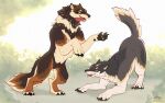 anthro canid canine canis duo favonius friends fur gausswolf hi_res male mammal pawpads paws playing tail wolf zephyxus