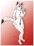 absurd_res anthro border breasts canid canine canis claws digital_media_(artwork) eyebrows feet female full-length_portrait fur hi_res looking_at_viewer mammal nipples nude pawpads portrait raised_eyebrow ritsu_(vyre) simple_background solo tail toes white_body white_fur wolf wyo