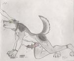  canine cum hypnosis magic male mammal mind_control nicky orgasm sketch wolf 