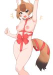  1girl :d absurdres animal_ears arm_up armpits blush bow breasts brown_eyes brown_hair cameltoe christmas contrapposto dhole_(kemono_friends) dog_ears dog_girl dog_tail highres illu_(illu_stratos) kemono_friends large_breasts multicolored_hair naked_ribbon nipples red_ribbon ribbon smile solo tail two-tone_hair white_hair wrapped_up 