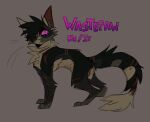 2023 andromorph brown_body brown_fur domestic_cat fan_character felid feline felis feral fur genitals intersex mammal model_sheet pussy solo warriors_(cats) wastepaw wastepaw_(wastepaw)
