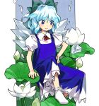  1girl blue_background blue_dress blue_eyes blue_hair border cirno dress flower highres kaigen_1025 looking_down shirt smile socks solo touhou white_border white_flower white_shirt white_socks 