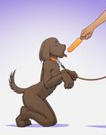  begging begging_pose canine collar dog duo female human hypnosis kneeling leash mammal mind_control petplay popsicle sleepymaid 