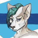 ambiguous_gender anthro blue_eyes canid canine canis domestic_dog fur grey_body grey_fur hair highlights_(coloring) ifrinox long_hair low_res mammal slim solo