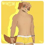 &lt;3 &lt;3_eyes absurd_res ahoge anthro bird_dog bracelet brown_body brown_fur bulge canid canine canis cerberussenn claws clothing cocker_spaniel domestic_dog eye_spot floppy_ears fluffy fluffy_hair freckles fur green_eyes hair hi_res humphrey_o&#039;senna_(cerberussenn) hunting_dog jewelry male mammal signature simple_background smile solo spaniel tan_body tan_fur underwear yellow_background yellow_clothing yellow_underwear