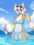 2024 anthro arcanis_(hahaluckyme) ball beach_ball bikini bikini_top breasts calico_cat clothing cloud countershade_torso countershading day detailed_background digital_media_(artwork) domestic_cat eyewear felid feline felis female fleurfurr fur grey_body grey_fur hi_res holding_beach_ball inflatable looking_at_viewer mammal open_mouth open_smile outside partially_submerged sarong shoulder_tuft signature sky smile solo sunglasses swimwear tuft water white_body white_fur yellow_body yellow_fur