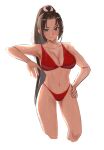  1girl bikini dan_koflove fatal_fury hair_ribbon highres navel red_bikini ribbon shiranui_mai solo swimsuit the_king_of_fighters wet white_background white_ribbon 