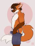2023 anthro black_nose bottomwear brown_hair bulge canid canine clothed clothing fur green_eyes hair hi_res jockstrap kaionart looking_down male mammal maned_wolf multicolored_body multicolored_fur shorts simple_background solo topless underwear