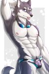abs absurd_res anthro armpit_showing athletic athletic_male bulge canid canine canis clothing domestic_dog eyewear goggles hi_res husky kemo_shu looking_at_viewer male mammal nipples nordic_sled_dog siberian_husky solo speedo spitz swimming_goggles swimwear teasing tongue tongue_out