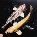  1other animal animal_focus carp dark fish original painting_(medium) realistic shadow shibakaka traditional_media watercolor_(medium) 
