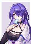  1girl absurdres acheron_(honkai:_star_rail) black_choker breasts choker cleavage coat commentary_request food hadzuki hair_intakes highres holding holding_food holding_popsicle honkai:_star_rail honkai_(series) long_hair looking_at_viewer popsicle purple_eyes purple_hair solo upper_body very_long_hair white_coat 