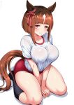  1girl absurdres animal_ears blush breasts brown_hair buruma ear_ribbon grin gym_uniform highres horse_ears horse_girl horse_tail kneehighs large_breasts looking_at_viewer red_buruma red_eyes sekai_saisoku_no_panda shirt short_hair short_sleeves sitting smile socks solo tail thighs transcend_(umamusume) umamusume wariza white_shirt 