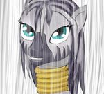  female friendship_is_magic green_eyes hair madhotaru mammal my_little_pony necklace neclace portrait rain solo two_tone_hair wet wet_hair wet_mane zebra zecora_(mlp) 