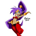 2024 absurd_res blue_eyes breasts clothing ear_piercing ear_ring female genie hair hi_res humanoid humanoid_pointy_ears long_hair looking_at_viewer not_furry open_mouth open_smile piercing ponytail purple_hair ring_piercing rotzedust shantae shantae_(series) signature simple_background smile solo wayforward