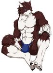  anthro biceps blue_eyes brown_fur bulge canine claws dog fundoshi fur loincloth looking_at_viewer male mammal muscles pecs pose red_fur sitting solo suruga toe_claws topless underwear white_fur 