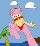 amy_rose bikini breasts clothing cloud coconut drupe_(fruit) feet fingers food fruit fur green_eyes hi_res macro mammal palm_tree pink_body pink_fur plant sega seth65 sky smile sonic_the_hedgehog_(series) stomping swimwear toes torn_clothing tree under_boob