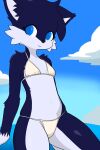 anthro bikini blue_body blue_eyes blue_fur clothing cloud domestic_cat felid feline felis female flat_chested fur hi_res hikari_(hikaridraws) hikaridraws mammal navel sea sky solo swimwear water white_body white_fur