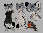  1boy :3 animal animal_feet animal_hands animal_on_shoulder artist_name bird bird_on_shoulder black_shirt black_shorts blue_eyes body_fur child claws closed_mouth deviidog0 english_commentary full_body grey_background grey_footwear grey_fur grey_hair hand_up hands_in_pockets highres looking_at_animal male_focus monster_boy multicolored_hair multiple_views original shirt short_eyebrows short_sleeves shorts simple_background snow_leopard_boy snow_leopard_ears snow_leopard_tail t-shirt 