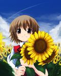  blush brown_eyes brown_hair day flower futami_kito hidamari_sketch short_hair sky solo sunflower yuno 