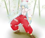  bamboo bamboo_forest flat_chest forest fujiwara_no_mokou hair_ribbon highres long_hair md5_mismatch nature ribbon shira-kaba solo suspenders touhou very_long_hair white_hair 