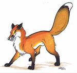  canine feral fox fur male mammal orange_fur roz_gibson sheath solo 