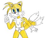  canine fox looking_at_viewer male mammal miles_prower muscles sega sonic_(series) underwear 