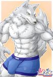  8pack anthro biceps big_muscles boxers bulge canine chest_tuft clothed clothing flexing fur grey_body grey_fur half-dressed male mammal muscles pecs pose shorts solo standing toned topless tuft underwear white_fur wildheit wolf yellow_eyes 