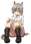  animal_ears blue_eyes blush boots eugenia_horbaczewski fang full_body glasses kyougoku_shin looking_at_viewer short_hair silver_hair simple_background sitting sketch smile solo tail white_background world_witches_series 