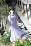  black_hair blue_eyes chef_no_kimagure_salad copyright_name dress flower haunted_campus hydrangea looking_at_viewer nada_koyomi official_art plant potted_plant short_hair solo stairs standing white_background white_dress 