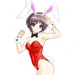  animal_ears bad_id bad_pixiv_id bare_legs bunny_ears bunnysuit nagato_yuki sai_(fcbwbkg6) short_hair silver_hair solo suzumiya_haruhi_no_yuuutsu yellow_eyes 